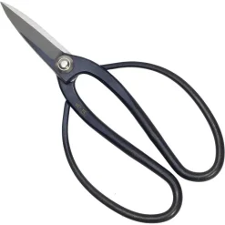 16de-19de Eeuwse Schaar