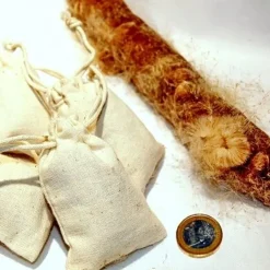 Cattail Anzünden -Halloween Verkäufe cattail anzuenden 2