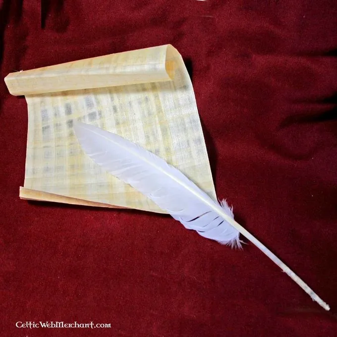 Gänsefedern Satz Von 10 2 Gänsefedern Satz Von 10 – Bild 2