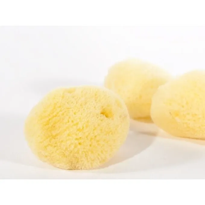 Klassischer Schwamm (Satz Von Drei) 2 Klassischer Schwamm (Satz Von Drei) – Bild 2