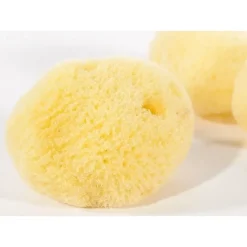 Klassischer Schwamm (Satz Von Drei) 6 Klassischer Schwamm (Satz Von Drei) -Halloween Verkäufe klassischer schwamm satz von drei 2