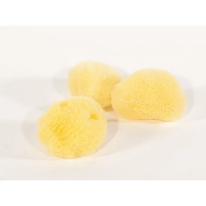 Klassischer Schwamm (Satz Von Drei) 4 Klassischer Schwamm (Satz Von Drei) – Bild 4