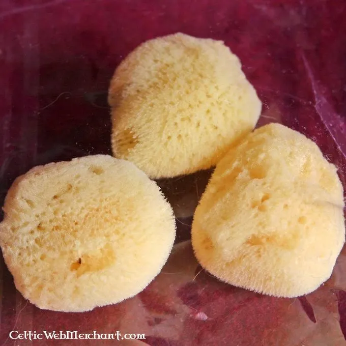 Klassischer Schwamm (Satz Von Drei) 1 Klassischer Schwamm (Satz Von Drei)