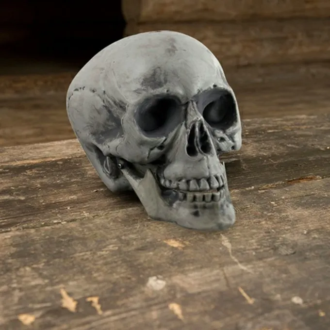 Epic Armoury Schädel 21 Cm 1 Epic Armoury Schädel 21 Cm